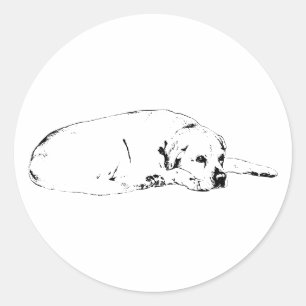 Watchful Soul Classic Round Sticker
