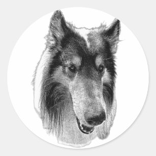 Watchful & Still – Collie Classic Round Sticker