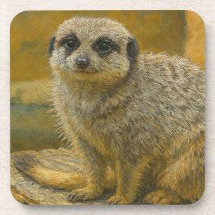 Watchful Stillness – Realistic Meerkat Portrait Coaster