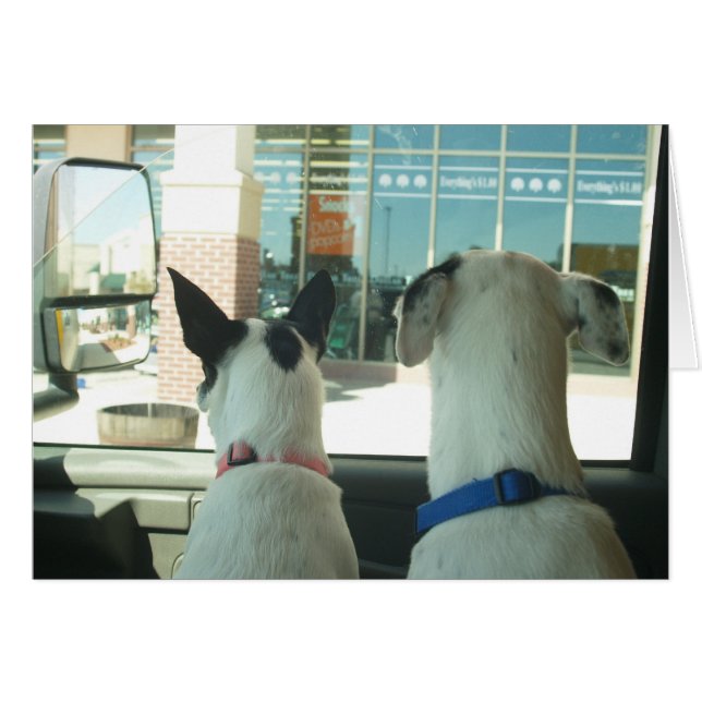 WATCHING (Front Horizontal)