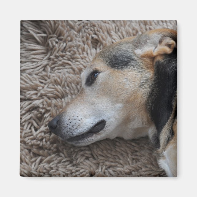 Watching Every Move Magnet (Front)