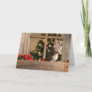 Watching for Santa Claus Holiday Card