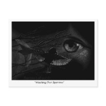 Watching Over Sparrows Postcrossing Postcard