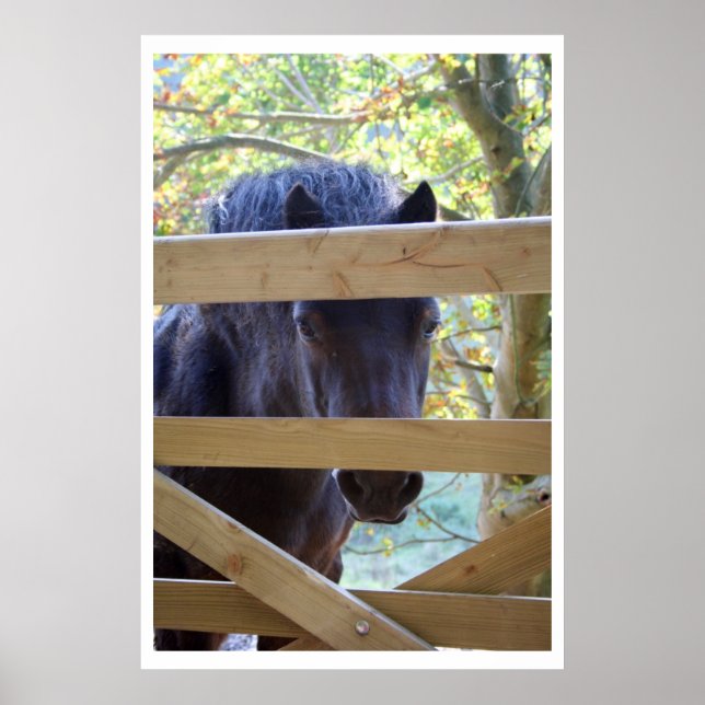 Watching. [Print] Poster (Front)