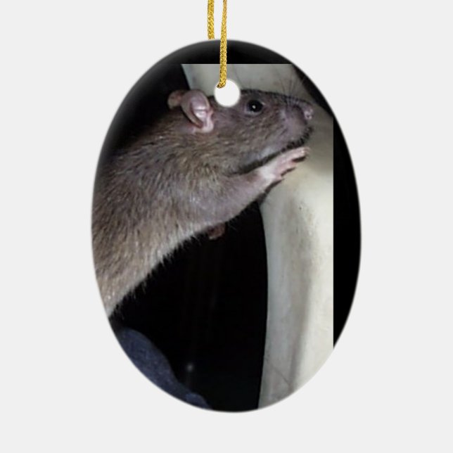 WATCHING RAT ORNAMENT (Back)