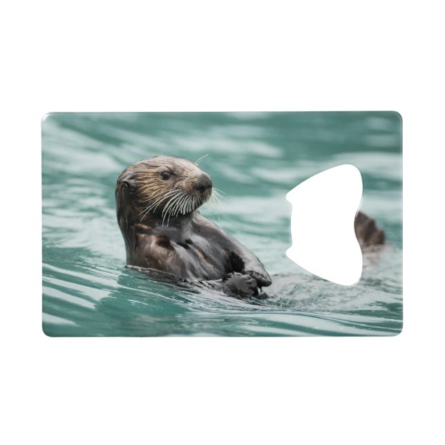 Watching Sea Otter (Back Horizontal)
