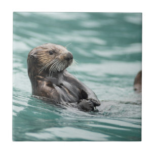 Watching Sea Otter Ceramic Tile