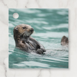 Watching Sea Otter Favour Tags