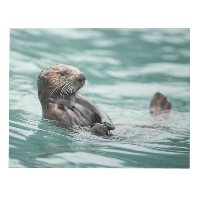 Watching Sea Otter Notepad (Front)