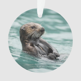 Watching Sea Otter Ornament