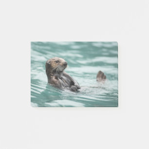 Watching Sea Otter Post-it Notes