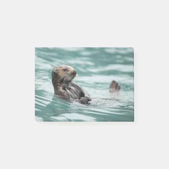 Watching Sea Otter Post-it Notes (Front)