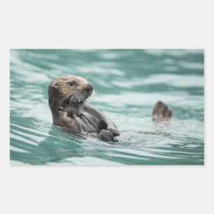 Watching Sea Otter Rectangular Sticker