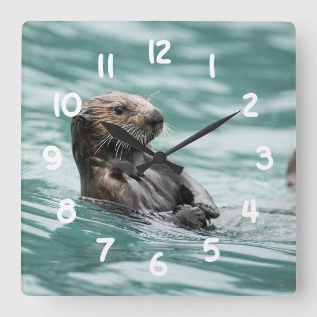 Watching Sea Otter Square Wall Clock (Front)