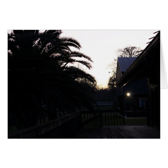 Watching the Sunset (Front Horizontal)