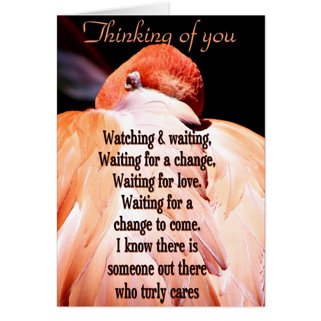 Watching & Waiting_ (Front)