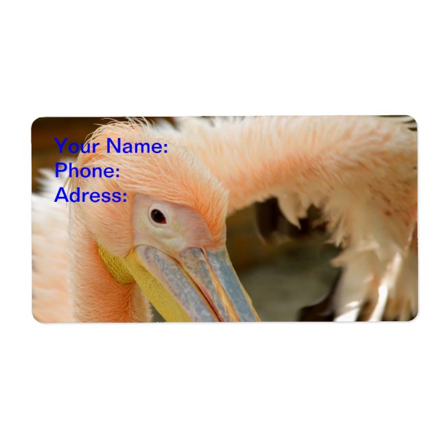 Watching You Pelican Label (Front)