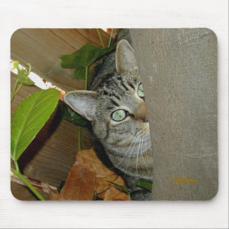 Watching Your Mouse Mouse Pad
