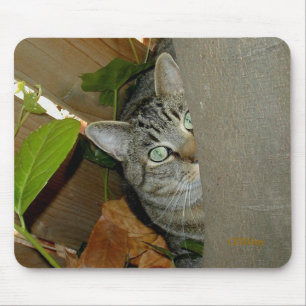 Watching Your Mouse Pad