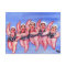 Water Aerobics Divas Fun Whimsical Chubby