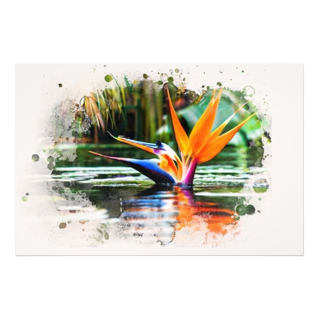 *~*  Water AP10 Flower Bird of Paradise QR Pond Photo Print (Front)