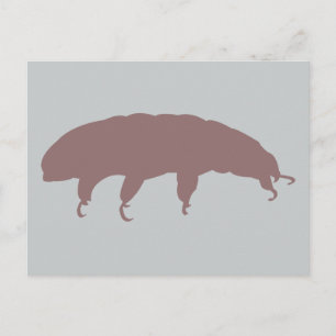 Water Bear Tardigrade Silhouette Cute Creature Postcard