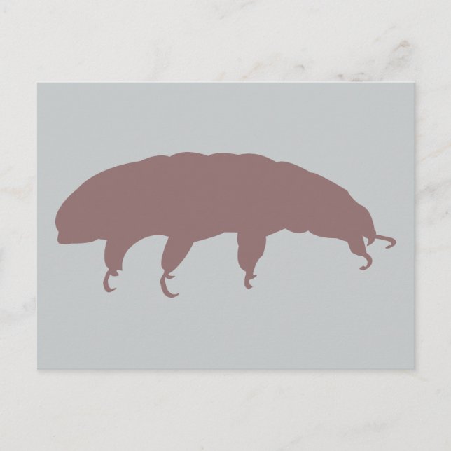 Water Bear Tardigrade Silhouette Cute Creature Postcard (Front)