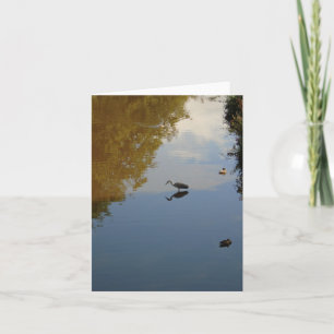 Water Birds in Pollok Park, Glasgow Card