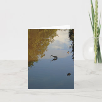 Water Birds in Pollok Park, Glasgow Card