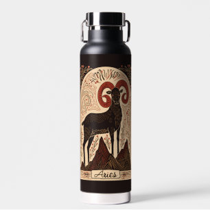 Water Bottle (650 ml)