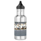Water Bottle,Flock of Pelicans