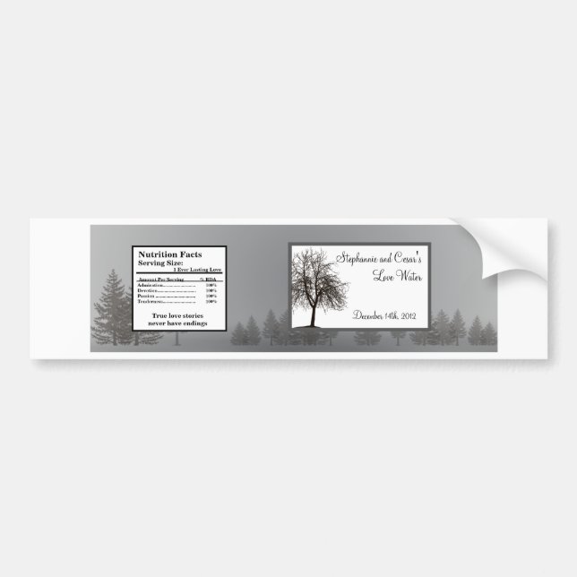 Water Bottle Label Grey Winter Trees Snow Bare (Front)