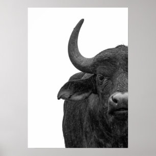 Water Buffalo Black White Modern  Poster