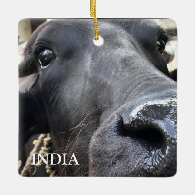 Water Buffalo, India Ceramic Ornament (Front)
