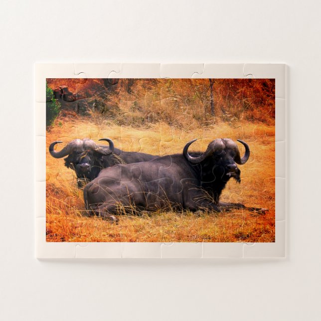 Water buffalo jigsaw puzzle (Horizontal)
