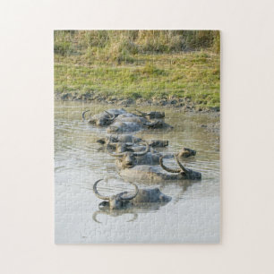Water Buffalo Kaziranga National Park. Jigsaw Puzzle