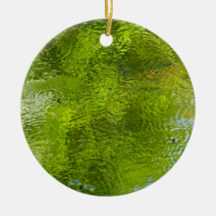 Water Bugs at Laurel Hill State Park Ceramic Ornament