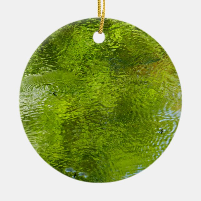 Water Bugs at Laurel Hill State Park Ceramic Ornament (Front)