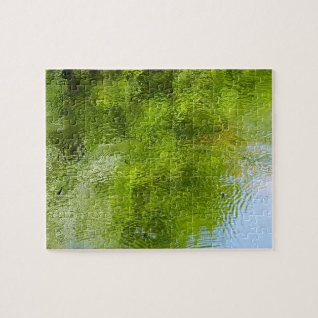 Water Bugs at Laurel Hill State Park Jigsaw Puzzle (Horizontal)