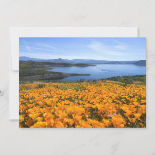 Water   California Lake With Golden Poppies Thank You Card