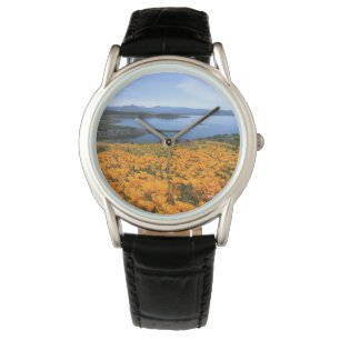 Water California Lake With Golden Poppies Watch
