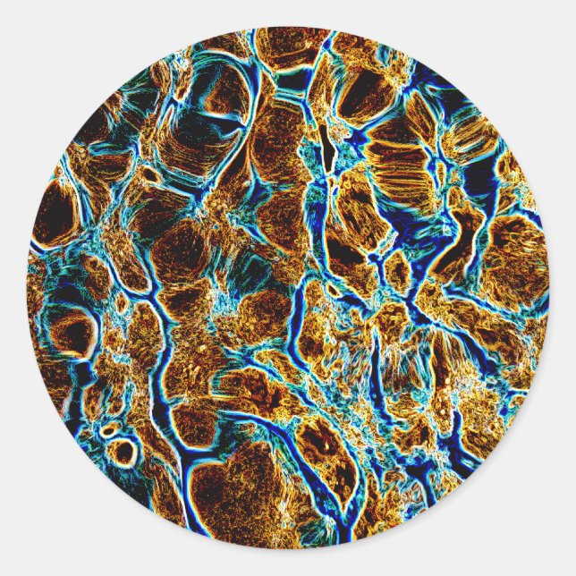 WATER CLASSIC ROUND STICKER (Front)