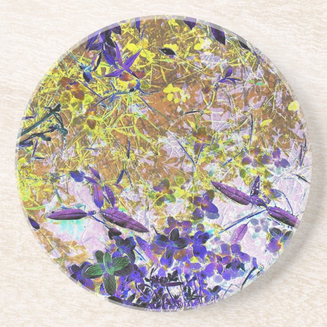 WATER COASTER (Front)