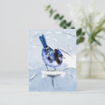 Water Colour Bird Christmas postcard