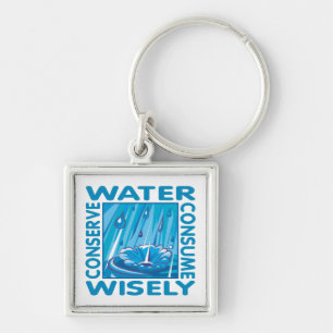 Water Conservation Key Ring