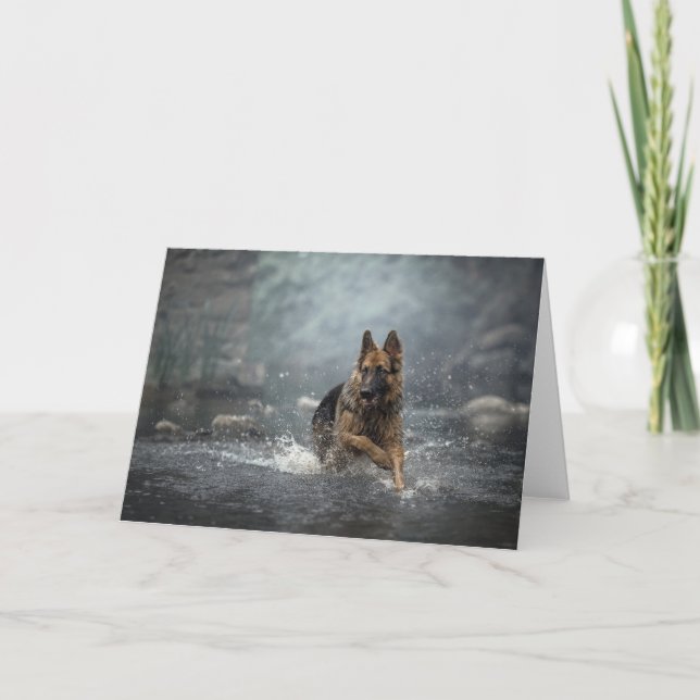 Water dog card (Front)