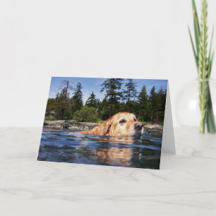 Water Dog - Cards