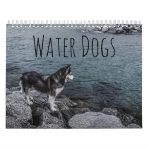 Water Dogs Calendar