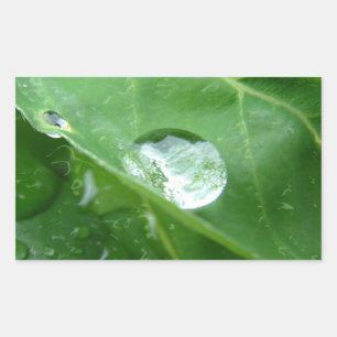 Water Drip on Leaf Water Conservation Design Rectangular Sticker