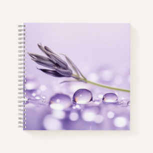 Water Drop Dewdrop Nature Serene Calm Notebook